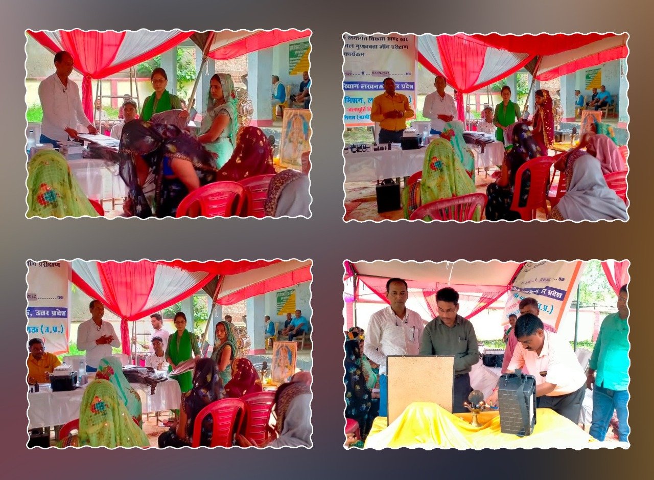 Training activity and participants shown in the company profile.
